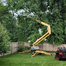 Lawn Grading and Leveling in Konterra, MD