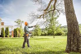 Best Lot and Land Clearing  in Konterra, MD